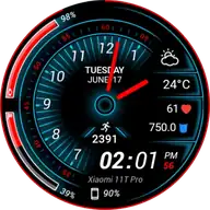 Torque Watch Face
